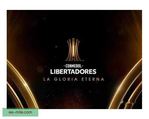 博卡青年解放者杯决赛加时赛遗憾失利 未能捧起梦寐以求的冠军奖杯